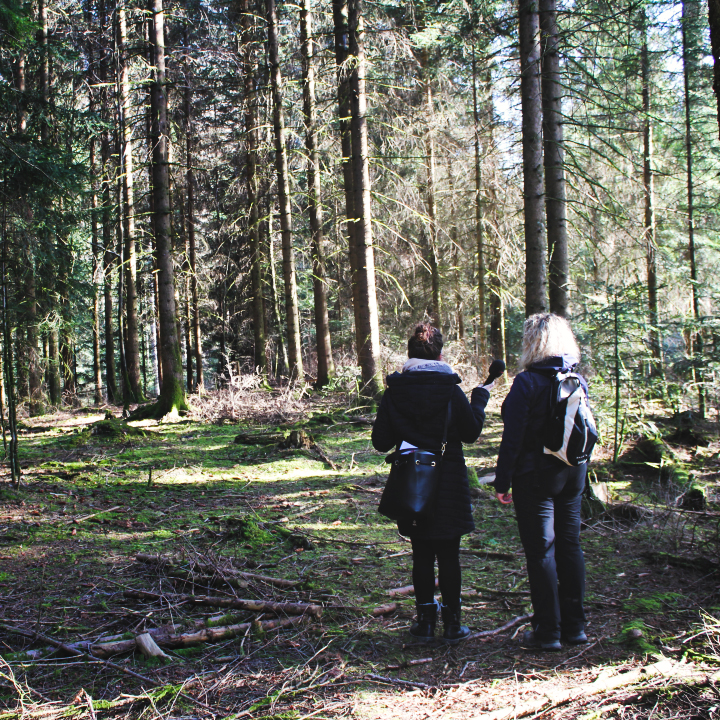 Reportage über Waldbade