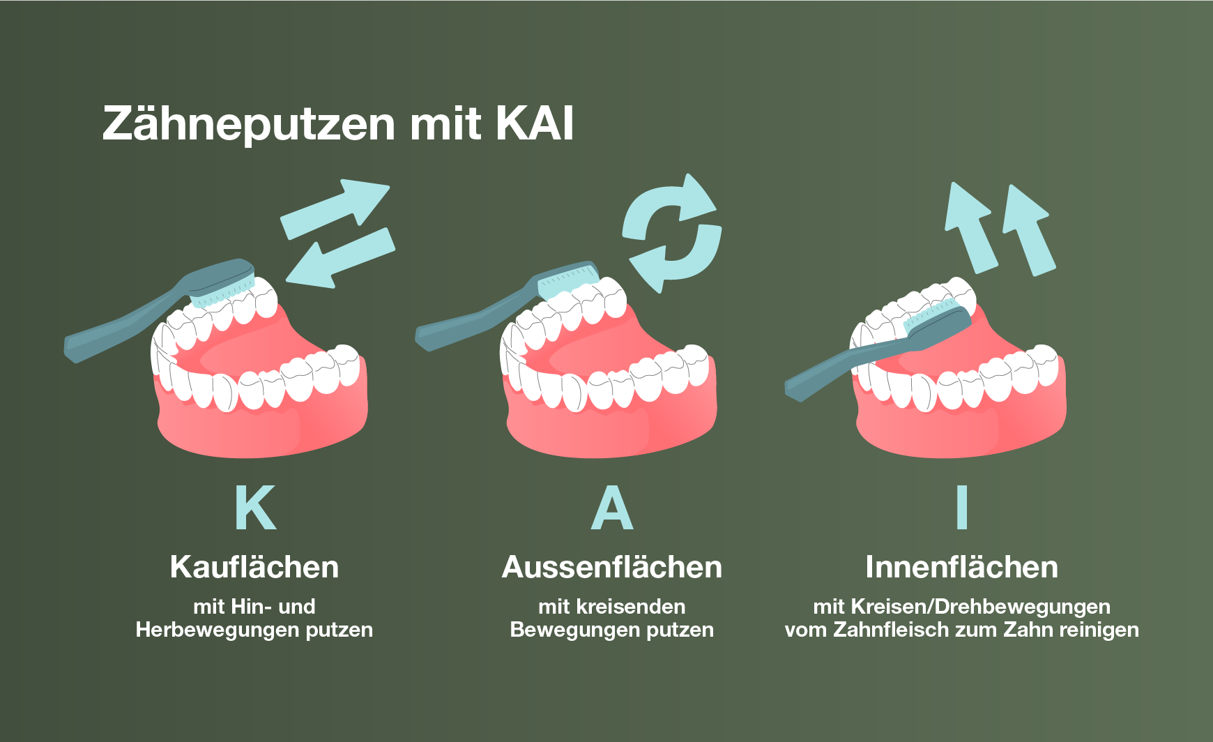 Illustration der KAI-Methode für das Zähneputzen bei Kindern.