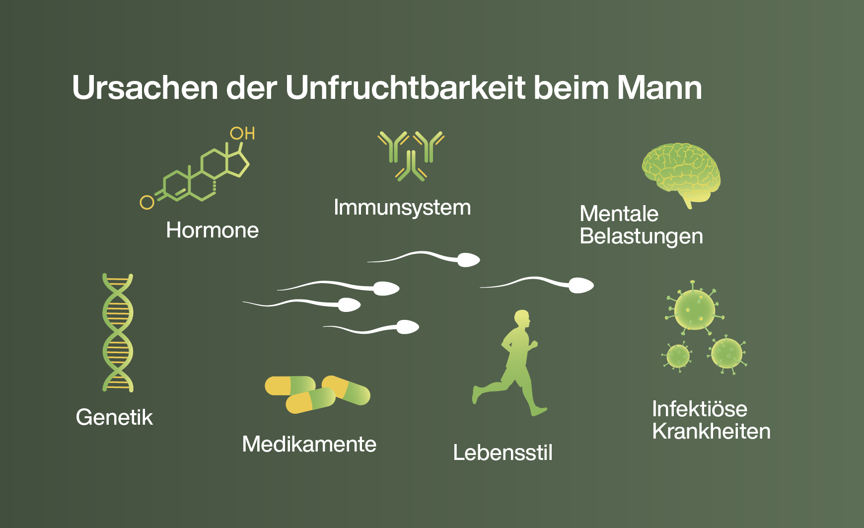 Infografik zu den Ursachen der Unfruchtbarkeit des Mannes: Von den Genen bis zum Lebensstil