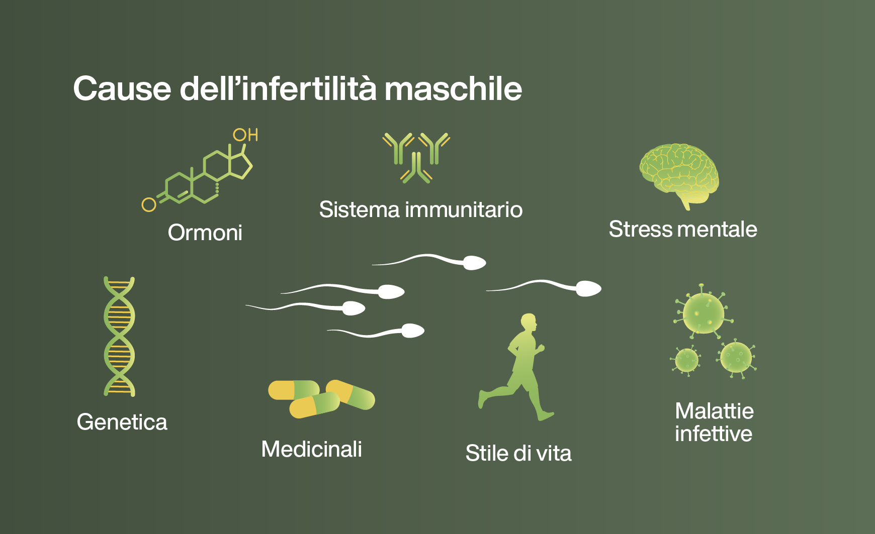 Infografica sulle cause dell’infertilità maschile: dalla genetica allo stile di vita