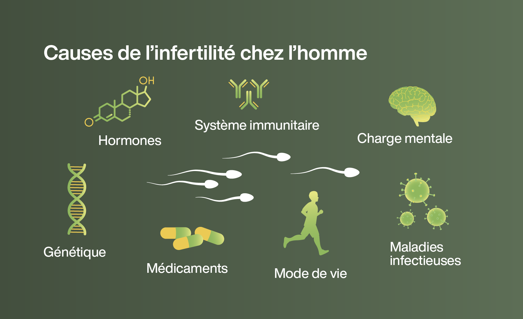 Infographie sur les causes d’infertilité chez l’homme: des gènes au mode de vie