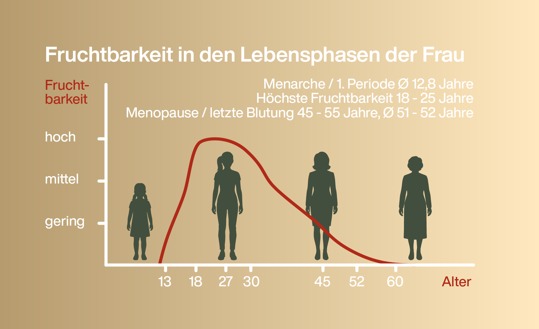 Infografik zu der Fruchtbarkeit in den Lebensphasen der Frau