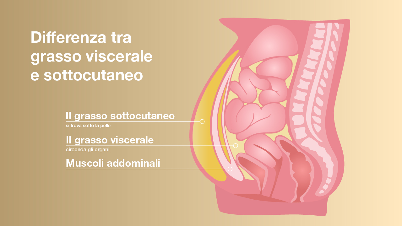 Differenza tra il grasso viscerale e il grasso sottocutaneo