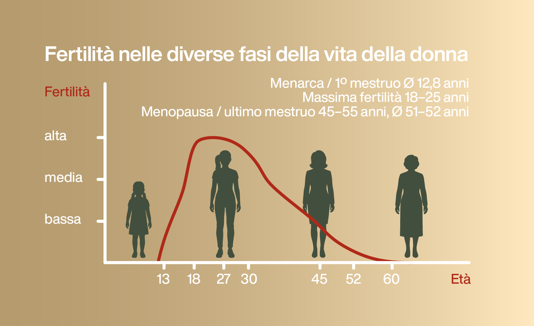 Infografica sulla fertilità nelle diverse fasi della vita della donna
