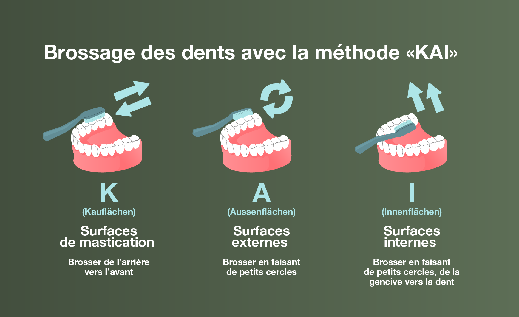 Illustration de la méthode KAI pour le brossage des dents chez les enfants.