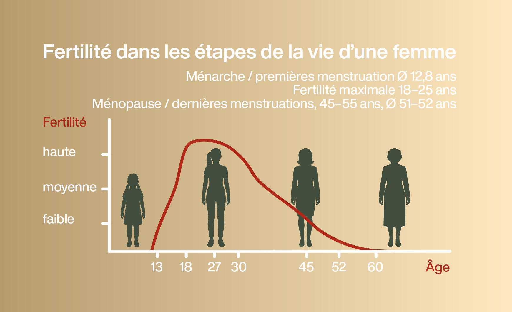 Infographie sur l’évolution de la fertilité au fil de la vie d’une femme